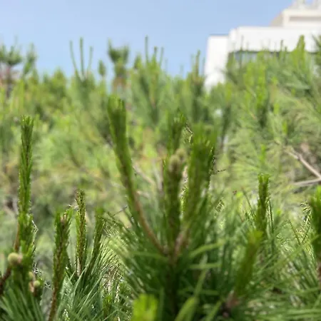 Apartament Mia Luxury Golem (Tirana)