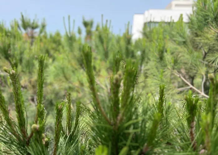 Apartment Mia Luxury Golem (Tirana)